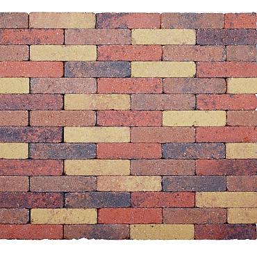 ActionLine 20x5x7 Melange coloré  waalformaat