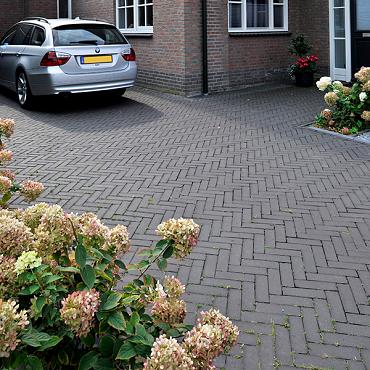 VF 66 clare bezand getrommeld