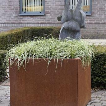 Bloembak vlak - 120x210x40 cm Corten