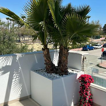 Plantenbak Vlak Wit 150x120x60 cm