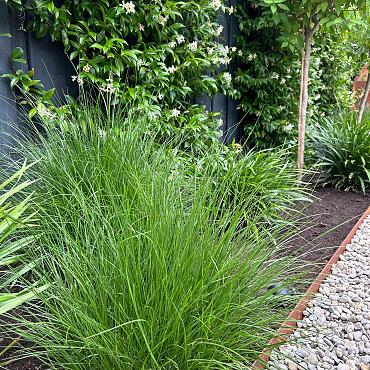 Kantopsluiting Double (flg) 300x16.5 cm Corten