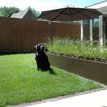 Plantenbak Vlak Supra Bruin 210x210x40 cm bruin