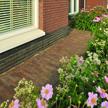aanbieding waalformaat 65 oud bigtelaar  20x5x6,5