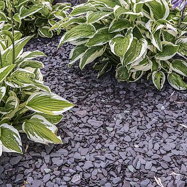 Canadian slate paars-rood 10-30mm 25kg