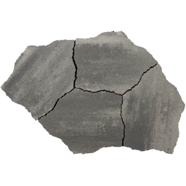 geoardesia alivo roma (6 cm)  * Uitlopend