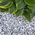 Icy blue split 16-22 mm bulk