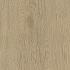 forest 120x30x2 ash oak