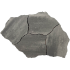geoardesia alivo roma (6 cm)  * Uitlopend