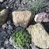 Canadian slate Grijs/blauw 30-60mm 25kg