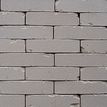 gebakken waalformaat   60 camila ongetrommeld