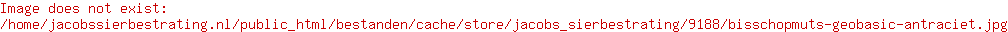 bisschopmuts  geobasic antraciet