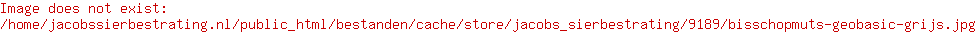 bisschopmuts  geobasic grijs
